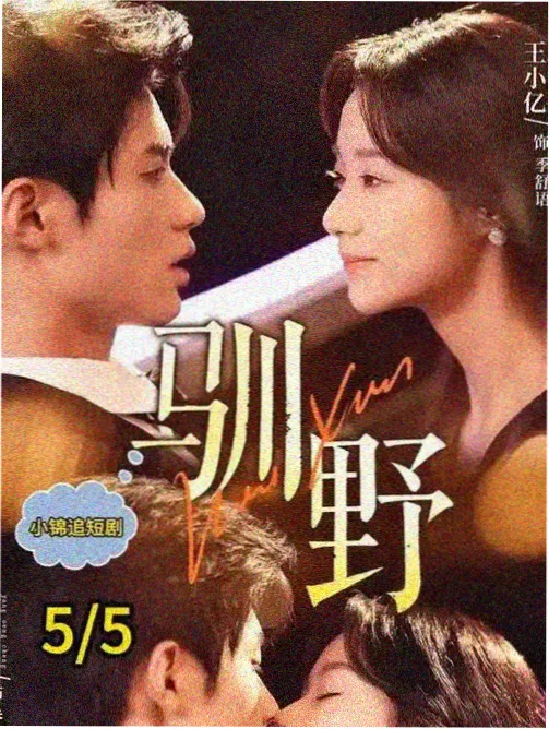 长夜列车 海报